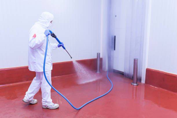 Best Oil Spill Cleanup  in Delft Colony, CA