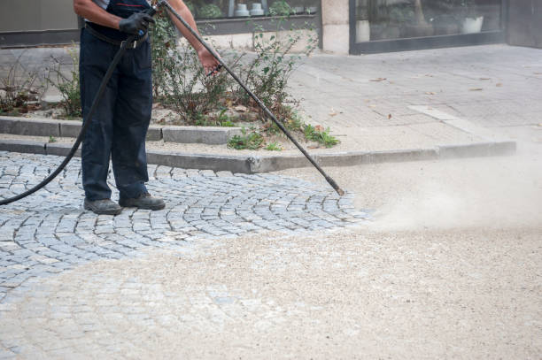 Best Rust Removal  in Delft Colony, CA